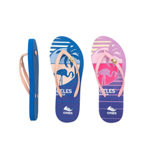 AH-9P110 Flip-flops Slippers Women Rubber Flip-flops Slippers Low Moq Wholesale Mens