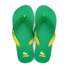 AH-9P059 Solid Color Comfortable V Strap PE Flip Flops for Women